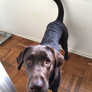 Meet your Posher, Erin